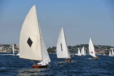 DSC_1345.JPG