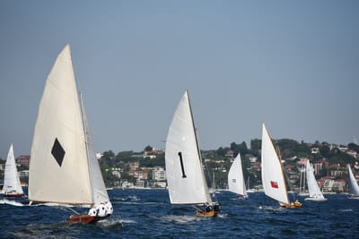 DSC_1347.JPG
