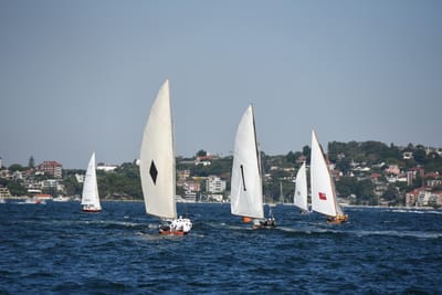 DSC_1348.JPG