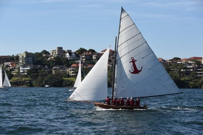DSC_1351.JPG