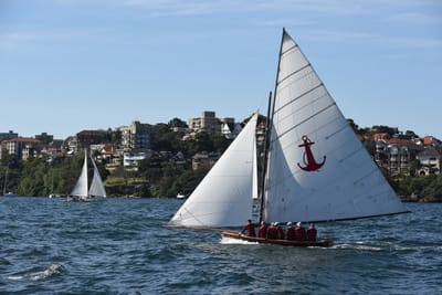 DSC_1352.JPG