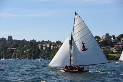 DSC_1353.JPG