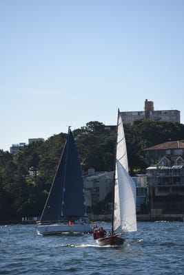 DSC_1354.JPG