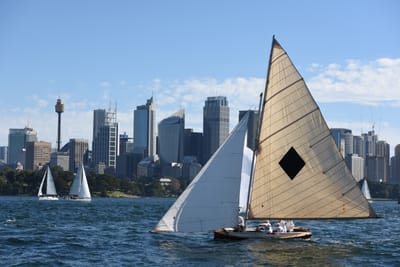 DSC_1356.JPG