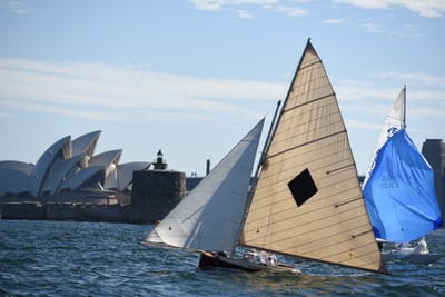 DSC_1361.JPG