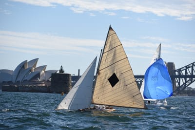 DSC_1362.JPG