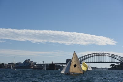 DSC_1367.JPG