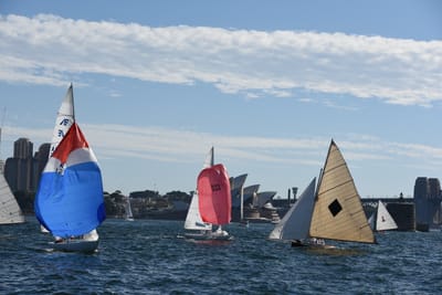 DSC_1370.JPG
