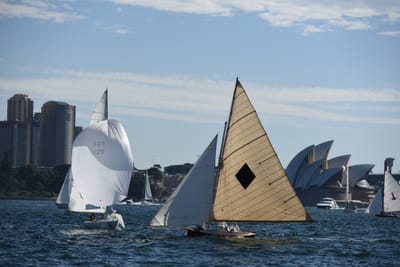 DSC_1372.JPG