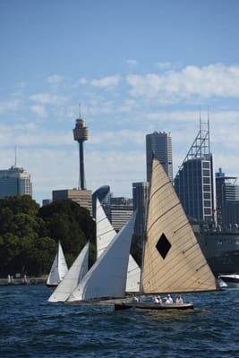 DSC_1379.JPG