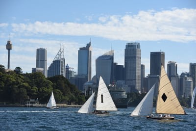 DSC_1382.JPG