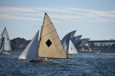 DSC_1383.JPG