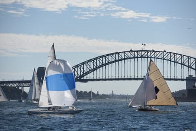 DSC_1384.JPG