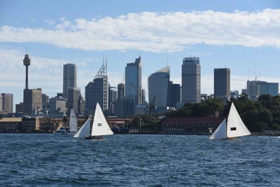 DSC_1386.JPG