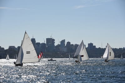 DSC_1387.JPG