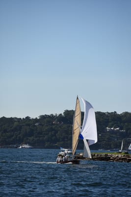 DSC_1392.JPG
