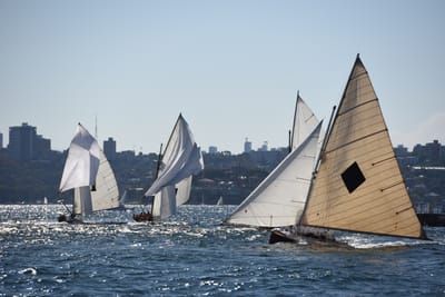 DSC_1393.JPG