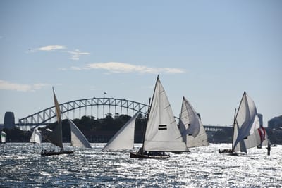 DSC_1395.JPG