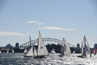 DSC_1396.JPG