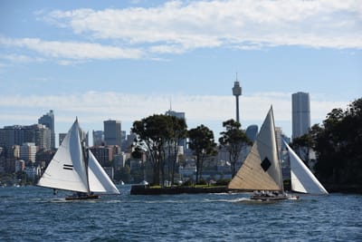 DSC_1401.JPG