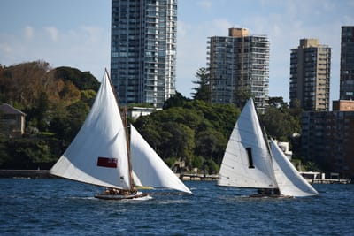 DSC_1403.JPG