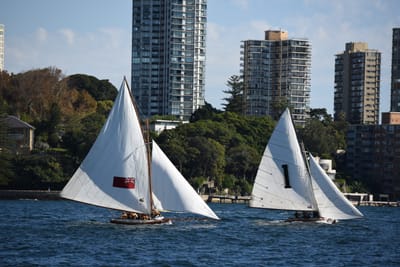 DSC_1404.JPG
