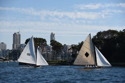 DSC_1405.JPG
