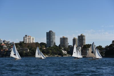 DSC_1406.JPG