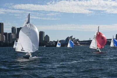 DSC_1411.JPG