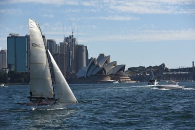 DSC_1433.JPG