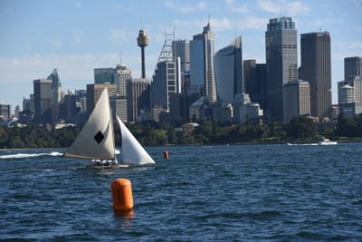 DSC_1437.JPG