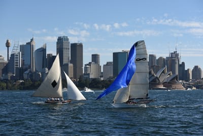 DSC_1440.JPG