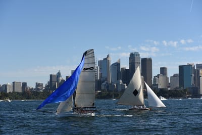DSC_1441.JPG