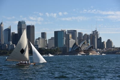 DSC_1444.JPG