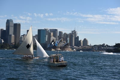 DSC_1445.JPG