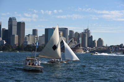 DSC_1447.JPG