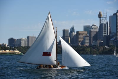 DSC_1453.JPG