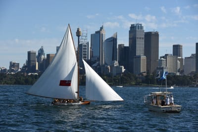 DSC_1454.JPG