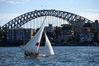 DSC_1460.JPG