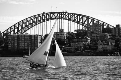 DSC_1460 bw.jpg