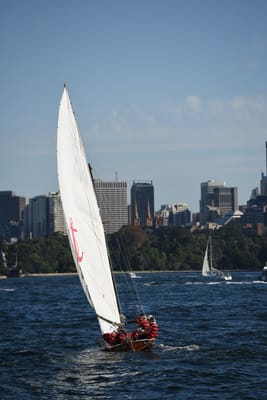 DSC_1462.JPG
