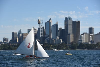 DSC_1464.JPG