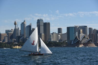 DSC_1465.JPG