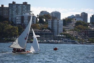 DSC_1466.JPG