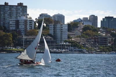 DSC_1467.JPG