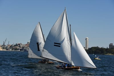 DSC_1479.JPG