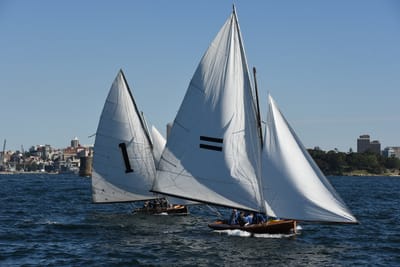 DSC_1480.JPG