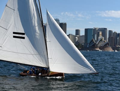 DSC_1486.JPG