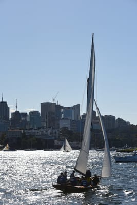 DSC_1489.JPG