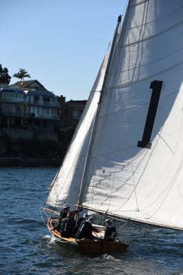 DSC_1493.JPG